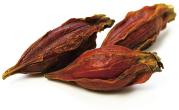 クロセチンとは