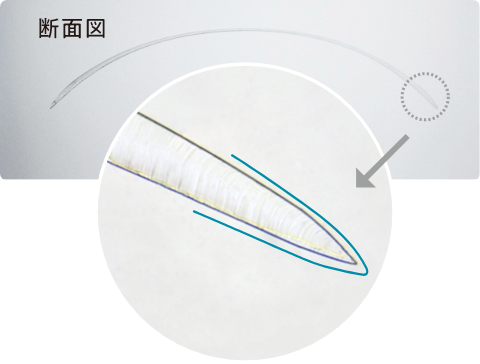 断面拡大図