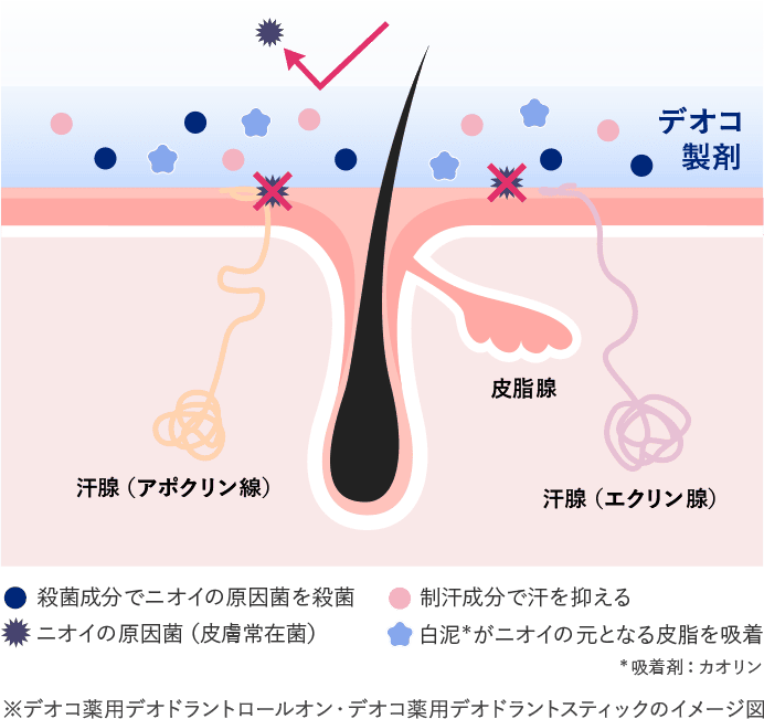 制汗剤・拭き取りシート
