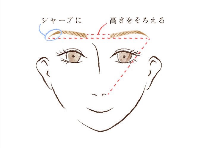 きちんと感の決め手は「キリッとした眉尻」