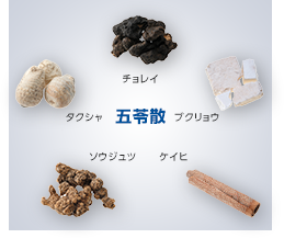 五苓散の特長