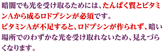 暗闇でも光を受け取るためには、たんぱく質とビタミンAから成るロドプシンが必須です。ビタミンAが不足すると、ロドプシンが作られず、暗い場所でのわずかな光を受け取れないため、見えづらくなります。